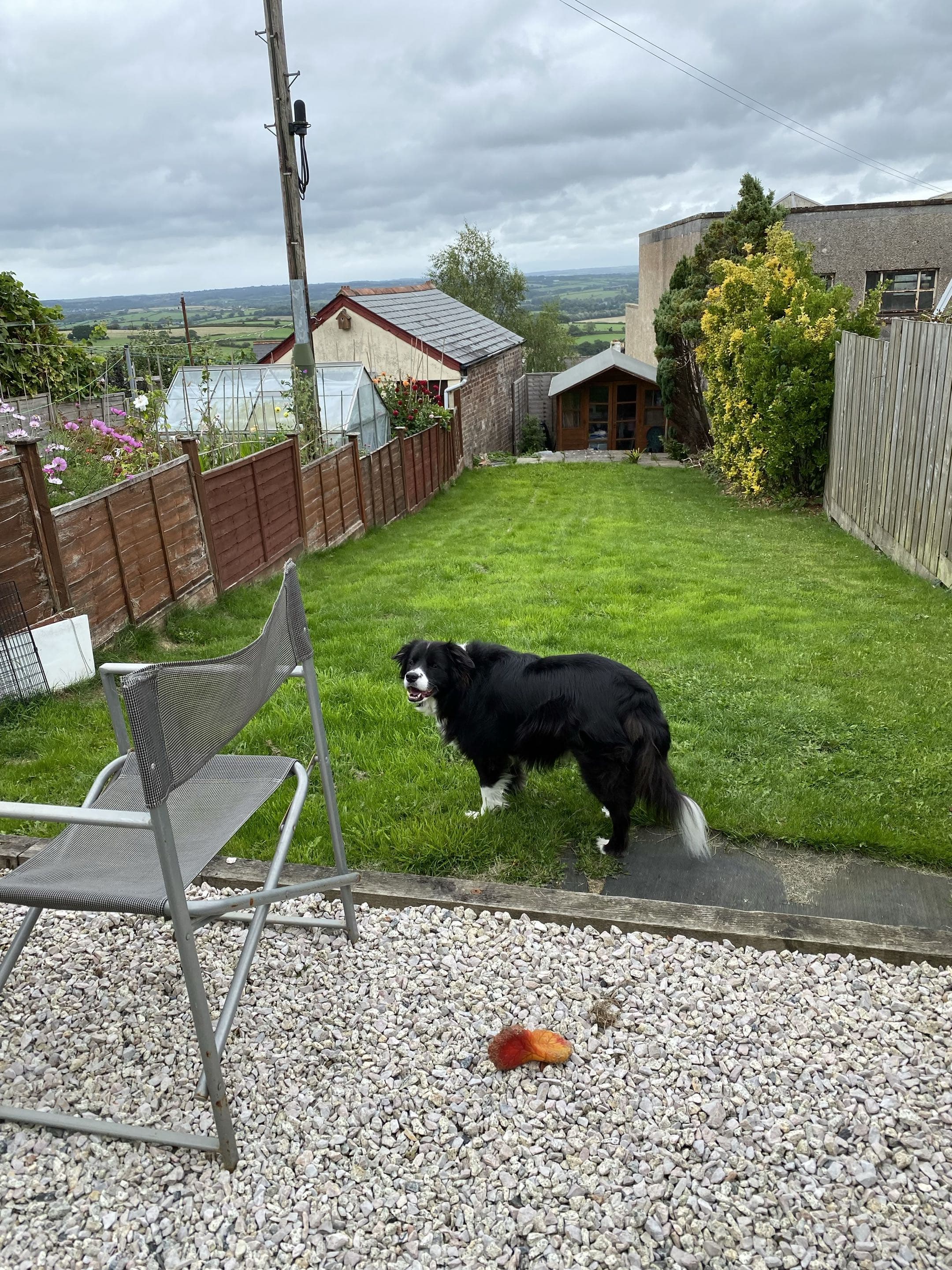 The secure back garden where dogs can spend time outside, overlooking the Cornish countryside